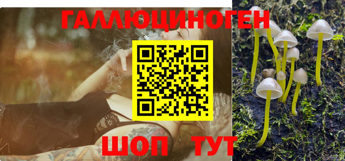Галлюциногенные грибы MAGIC MUSHROOMS  наркота  Псилоцибиновые грибы Magic Shrooms  Курчатов  Вход с VPN 