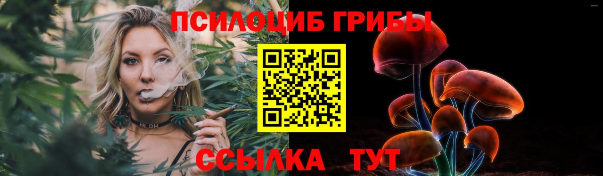 Псилоцибиновые грибы ЛСД Курчатов